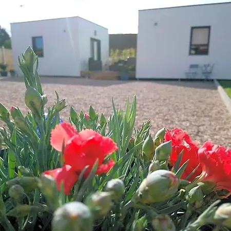D'hotes Au Cap Norwoe Saint-Quentin-en-Tourmont