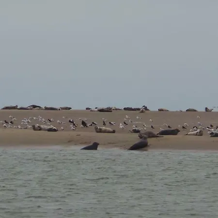 Au Cap Norwoe 3* Saint-Quentin-en-Tourmont