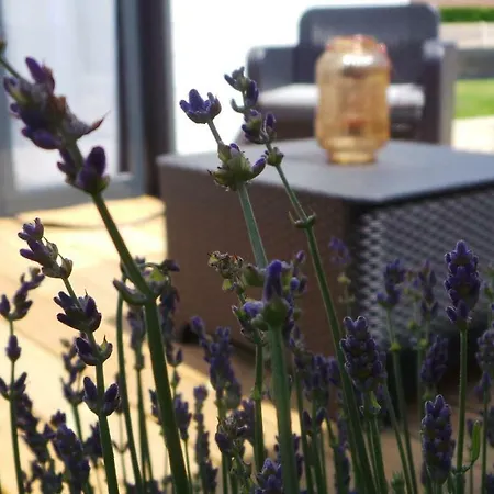 Bed & Breakfast Au Cap Norwoe 3*